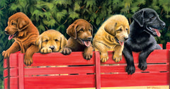 ALL ABOARD PUPS PUZZLE
