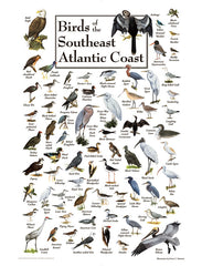 BIRDS OF THE SOUTHEAST ATLANTIC COAST PUZZLE