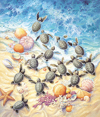 GREEN TURTLE HATCHINGS PUZZLE